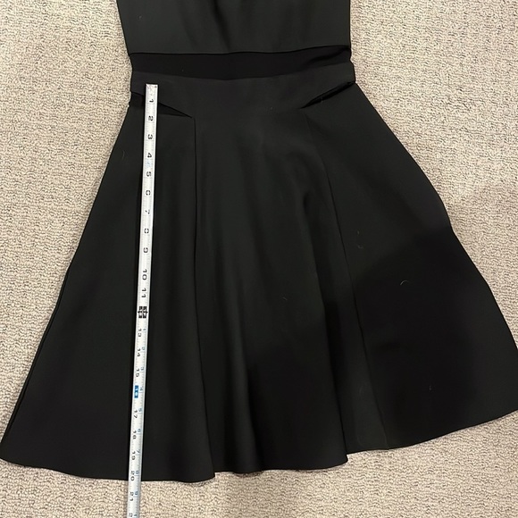 Elizabeth & James Black Fit & Flare Mesh Dress - Picture 10 of 10